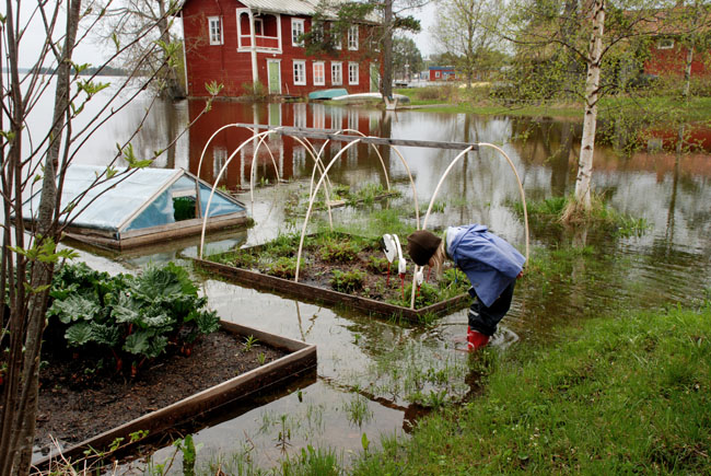 Hammerdal115