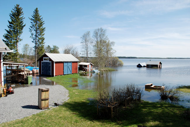 Hammerdal203