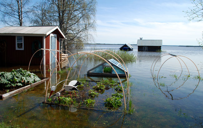 Hammerdal224